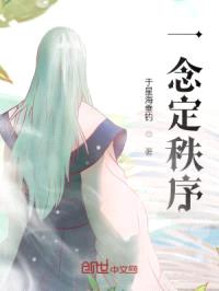 一念定秩序封面