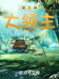 超S级大领主封面