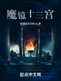 魔镜十三宫封面
