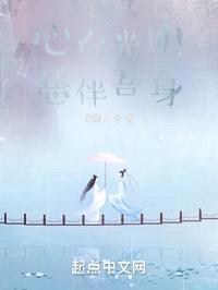 心向光明恶伴吾身封面