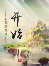 从西游石灵开始封面
