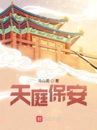 天庭保安封面