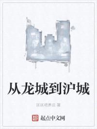 从龙城到沪城封面
