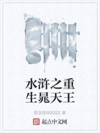 水浒之重生晁天王封面