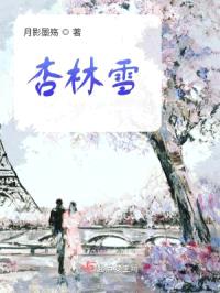 杏林雪封面