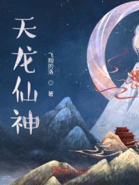 天龙仙神封面