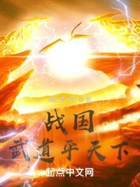 战国武道平天下封面