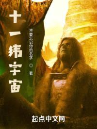 十一纬宇宙封面