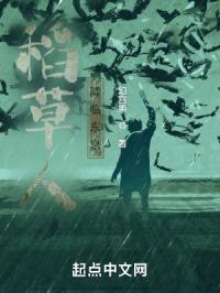 稻草人降临东京封面