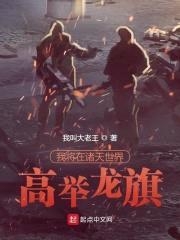 我将在诸天世界高举龙旗封面