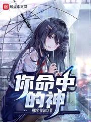 你命中的神封面
