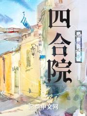 四合院的何大爷封面