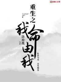 重生之我命由我封面