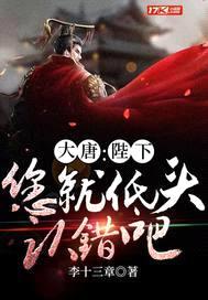 大唐：陛下，您就低头认错吧封面