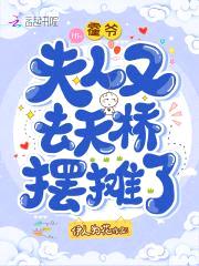 霍爷，夫人又去天桥摆摊了封面