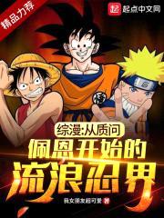 综漫：从质问佩恩开始的流浪忍界封面