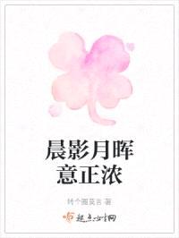 晨影月晖意正浓封面