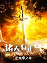 诸天有正气封面