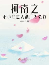 柯南之不小心进入酒厂怎么办封面