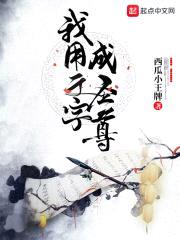 我用文字成圣尊封面