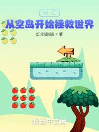 MC：从空岛开始拯救世界封面