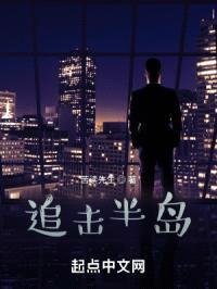 追击半岛封面