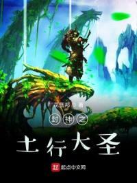 封神之土行大圣封面