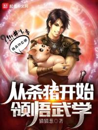 从杀猪开始领悟武学封面