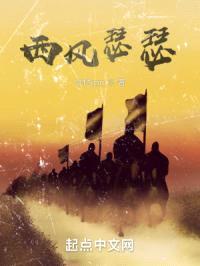 西风瑟瑟封面