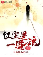 红尘是一道魂封面