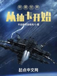 称霸世界从抽卡开始封面