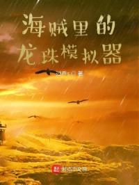 海贼里的龙珠模拟器封面