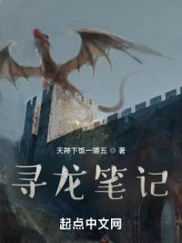寻龙笔记封面