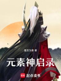 元素神启录封面
