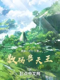 数码兽天王封面