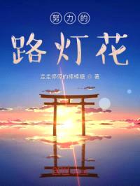 努力的路灯花封面