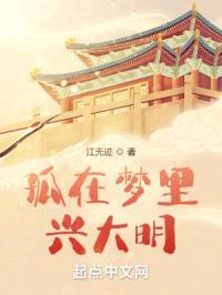 孤用梦境兴大明封面