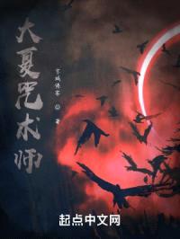 大夏咒术师封面