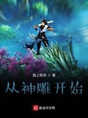 从神雕开始封面