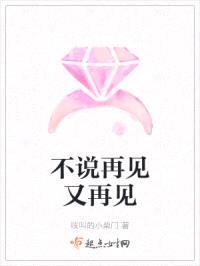 不说再见又再见封面
