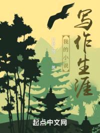 我的小说写作生涯封面