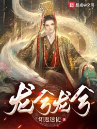 龙兮龙兮封面