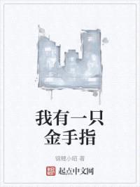 我有一只金手指封面