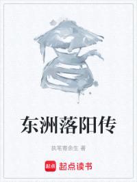 东洲落阳传封面