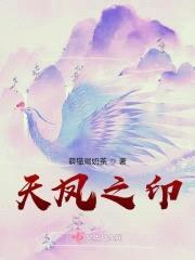 天凤之印封面