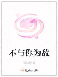 不与你为敌封面