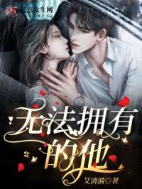 无法拥有的他封面