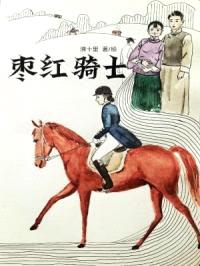 枣红骑士封面