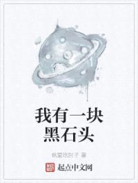 我有一块黑石头封面