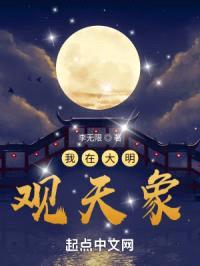 我在大明观天象封面